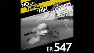 547: No Such Thing As A Mystic Beluga