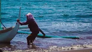 The Morning Catch
