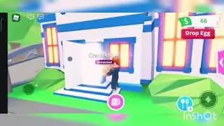 Adopt Me Hatching Eggs And House Tour
