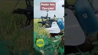 Panen Padi Tercepat 