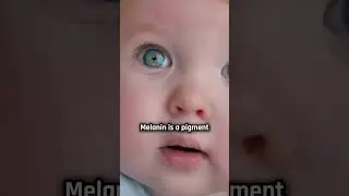 Where did Blue Eyes come from? 