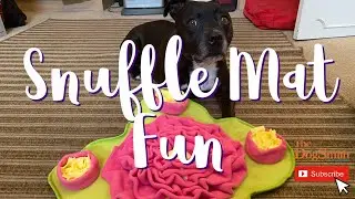 Snuffle Mat Fun for Dogs!