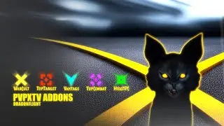 Balance Druid PvP - 5 WoW PvP Addons - Dragonflight 10.1