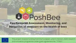 Sampling honey bee hives in Cork, Ireland [PoshBee training]