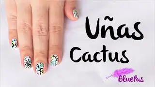 Uñas de Cactus - Mybluepas
