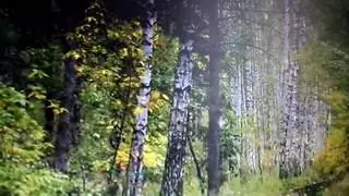 Песня 