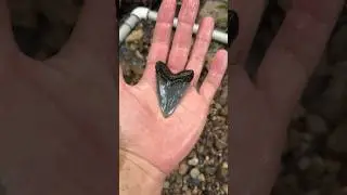 Exploring a Dried Up Ocean!