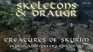 Creatures of Skyrim--Skeletons and Draugr--Skyrim Anniversary Edition PS5