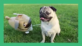 Doug the Pug And His Imaginary Friend