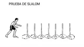 Prueba slalom / Primera evaluación