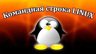 Команды терминала Linux. Урок 7. История и алиасы
