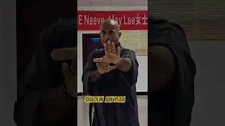 Shaolin Xin Yi Ba #xinyiba #shifu #martialarts #kungfu #shaolin #shaolinkungfu #shaolintemple