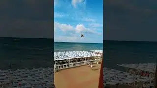 6 сентября 2024 г.