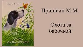 Михаил Пришвин "Охота за бабочкой"