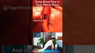 🔥Increase Blood Flow 