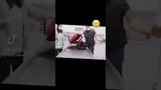 Кот в бешенстве
