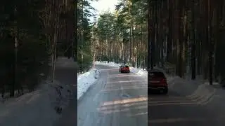 Зимняя, лесная | Forest road
