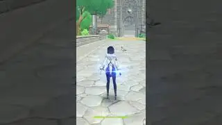 5 Things Nahida Skill Can't Collect