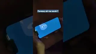 Две Райден в одной десятке, жаль что не в Геншине 