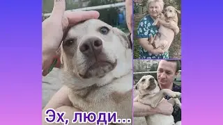Эх,люди... История неудачного пристройства.