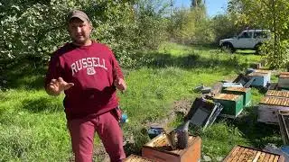Familiile sunt pregătite de iarnă . Cum se prezintă și ce ne ajută să avem familii sănătoase…