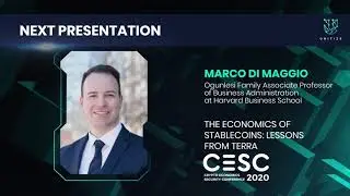 The Economics of Stablecoins - Lessons from Terra