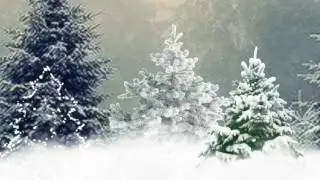 ФУТАЖ ЗИМА-СЕРЕБРИСТАЯ ЕЛЬ. СКАЧАТЬ БЕСПЛАТНО.