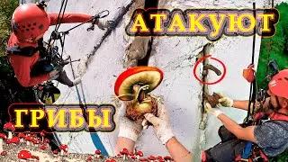 Грибок и плесень атакуют. Ремонт межпанельных швов.