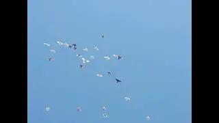 Голуби Карабалта, Все равно боятся копчика. 04.09.2021