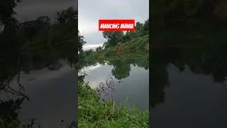 Mancing di belakang rumah bersama mancing mania