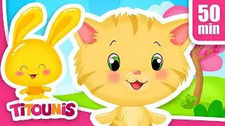 Le chat - Comptine bébé