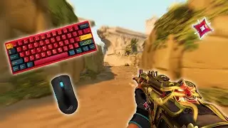 The Perfect Sens for Calm Aim