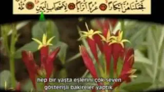 Ahmet el Acemi VAKIA SURESI
