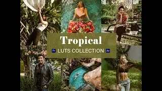 Tropical Video LUTs