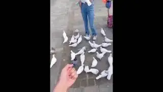 this is to check the C right