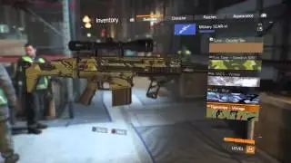 The Division Weapon Skins