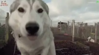 Best gifs compilation #30