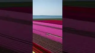 #beautiful
