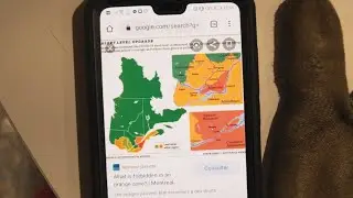 ÉTAT D'ALERTE ORANGE | GREENSPAG