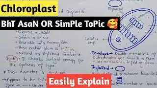 Chloroplast Structure And Functions | Thylakoid | Class 11 Biology
