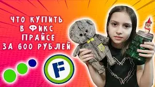 ЧТО МЫ КУПИЛИ С БАСИКОМ В ФИКС ПРАЙС НА 600 РУБЛЕЙ / ПОКУПКИ ДЛЯ БАСИКА