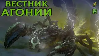#poe