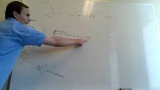 Q1 Biochem - TA style tutor - Lipid digestion and absorption, and then lipoprotein distribution