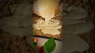 яблочный рулет! #яблочныйрулет#шарлоткасяблоками #яблоки