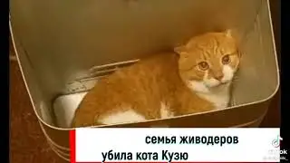Просто ужас!
