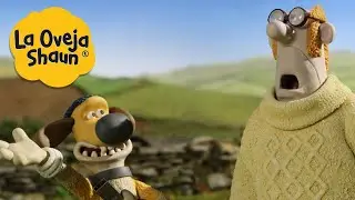 La Oveja Shaun 🐑 Choque del granjero 🐑 Dibujos animados para niños