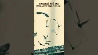 Hz Əli Mübarək İbrətamiz Kəlamları 354 #shorts #HzAli #Nehculbelaga #kelam #ibretamiz #Dua