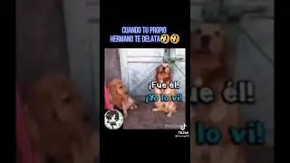 Cuando tu propio hermano te delata 😉
