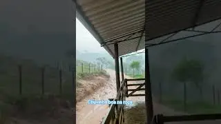 Chuvinha boa na roça, os pastos estavam secos