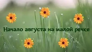Начало августа, Голавль, Rera Kamuy